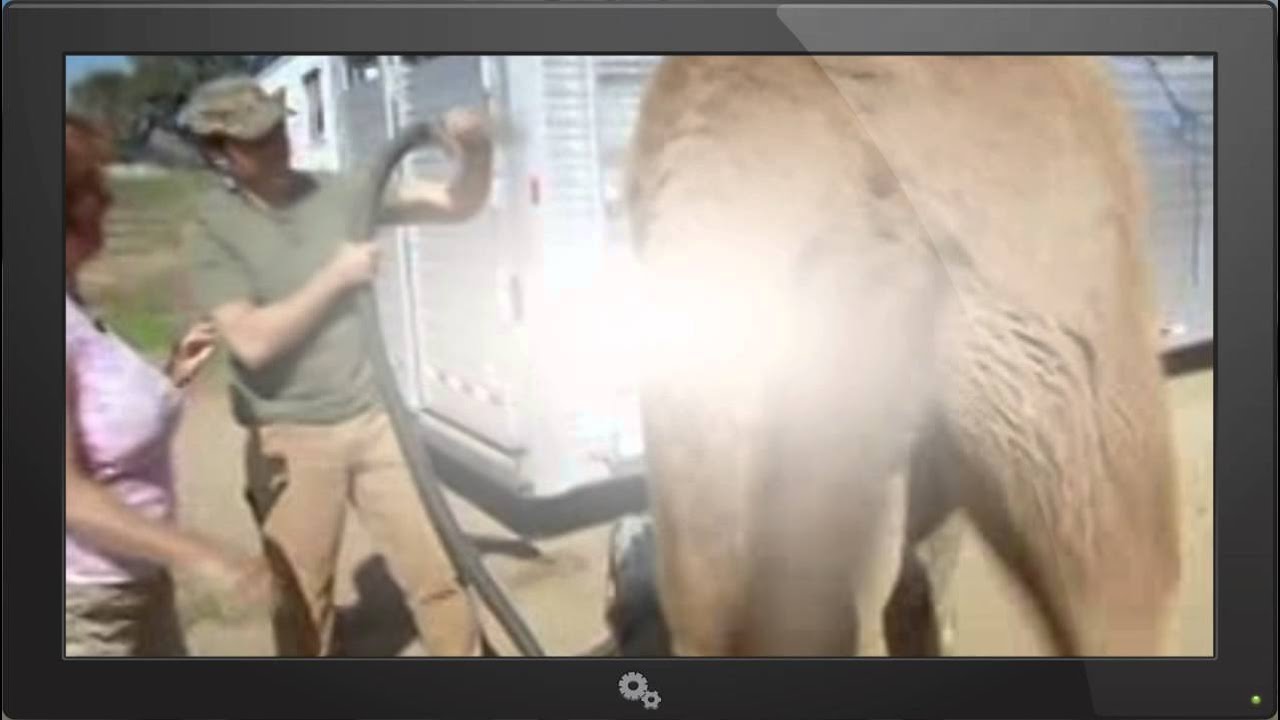Dirty Jobs   514   Camel Rancher