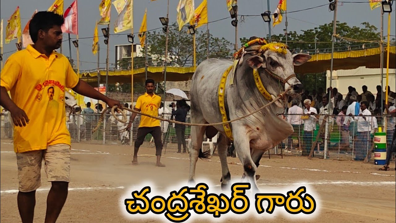 చిలకలూరిపేట జూనియర్స్ 7వ.చంద్రశేఖర కోల్డ్ స్టోరేజ్, లింగాయపాలెం, గుంటూరు జిల్లా...