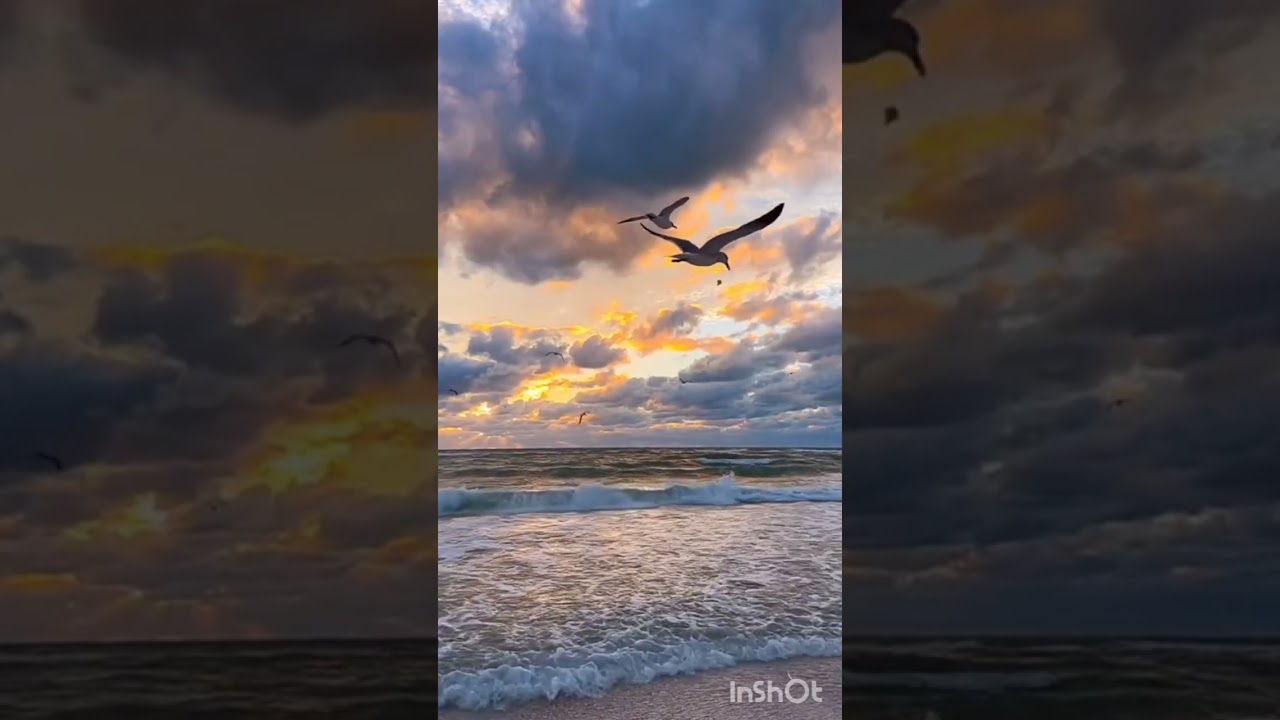NightFlare – Морський подих | Progressive Trance | Emotional Electro