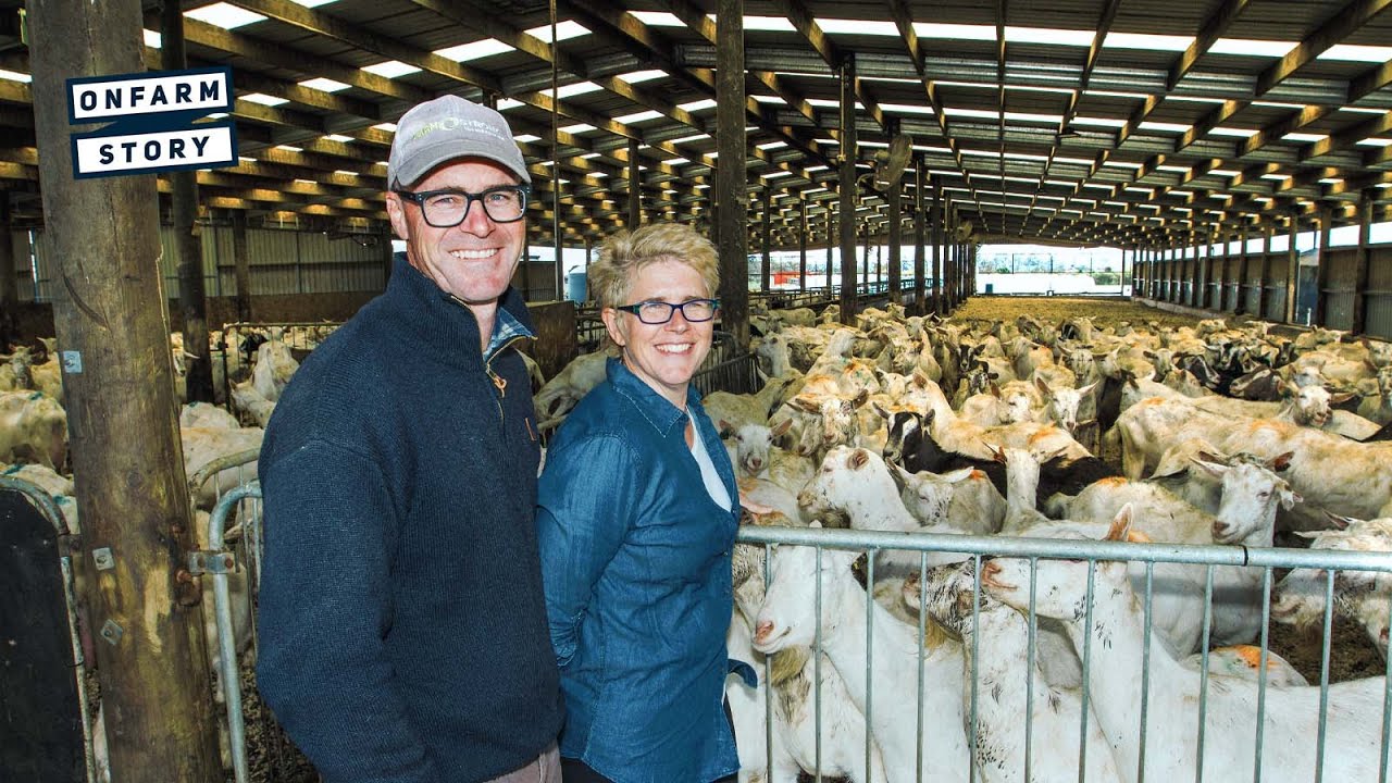Farm Diversification &ndash; NZ Dairy Farmer Discusses the Future of Farming