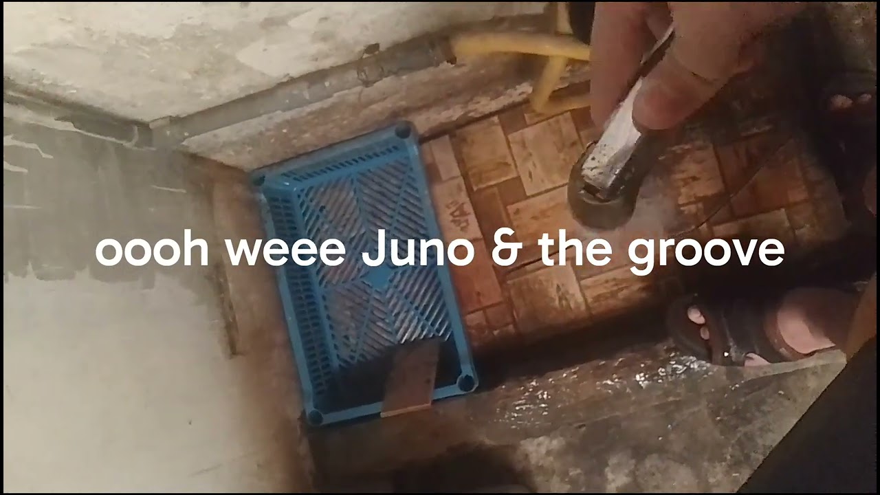 Oooh weee Juno & the groove