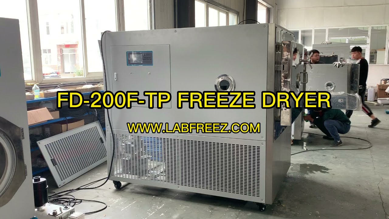 FD-200F-TP LABFREEZ 20kg Pilot Vacuum Freeze Dryer Lyophilizer Machine