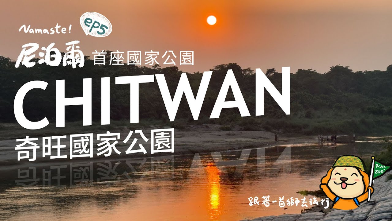 尼泊爾#5 尼泊爾第1座國家公園奇旺國家公園 夜間犀牛來buffut 大象在後院
