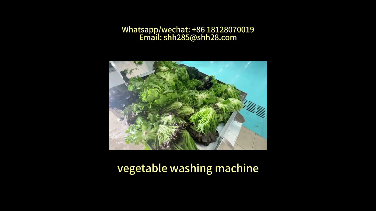 Automatic vegetable washing machine fruit cleaning machine ozone cleaner salad washing machine