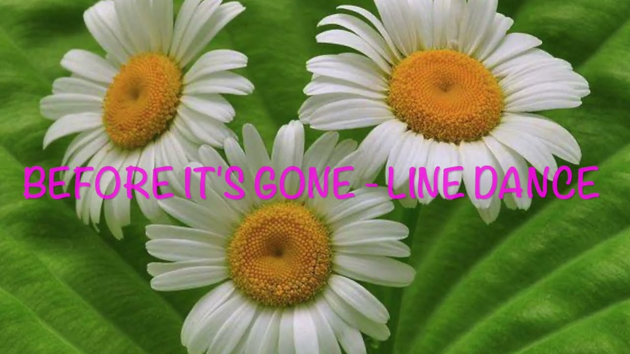 Before It's Gone - Line Dance