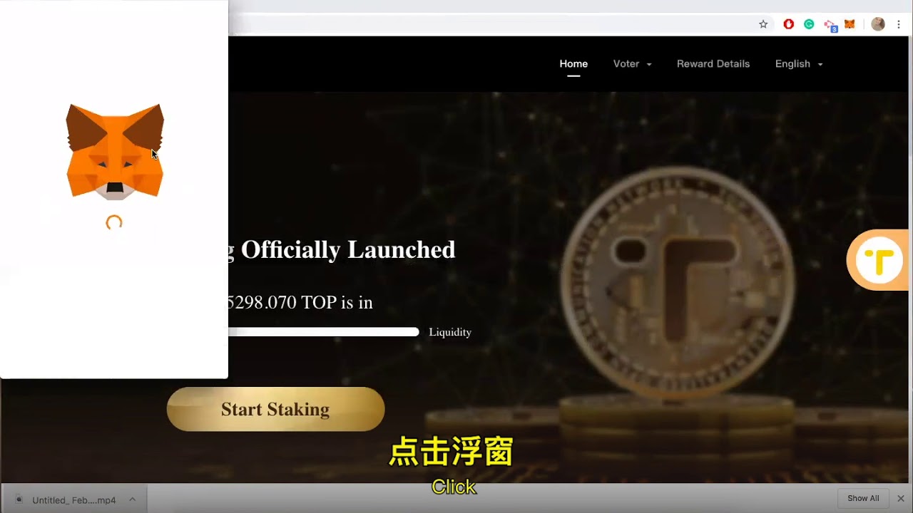 TOP Staking Tutorial （Have a MetaMask Wallet）