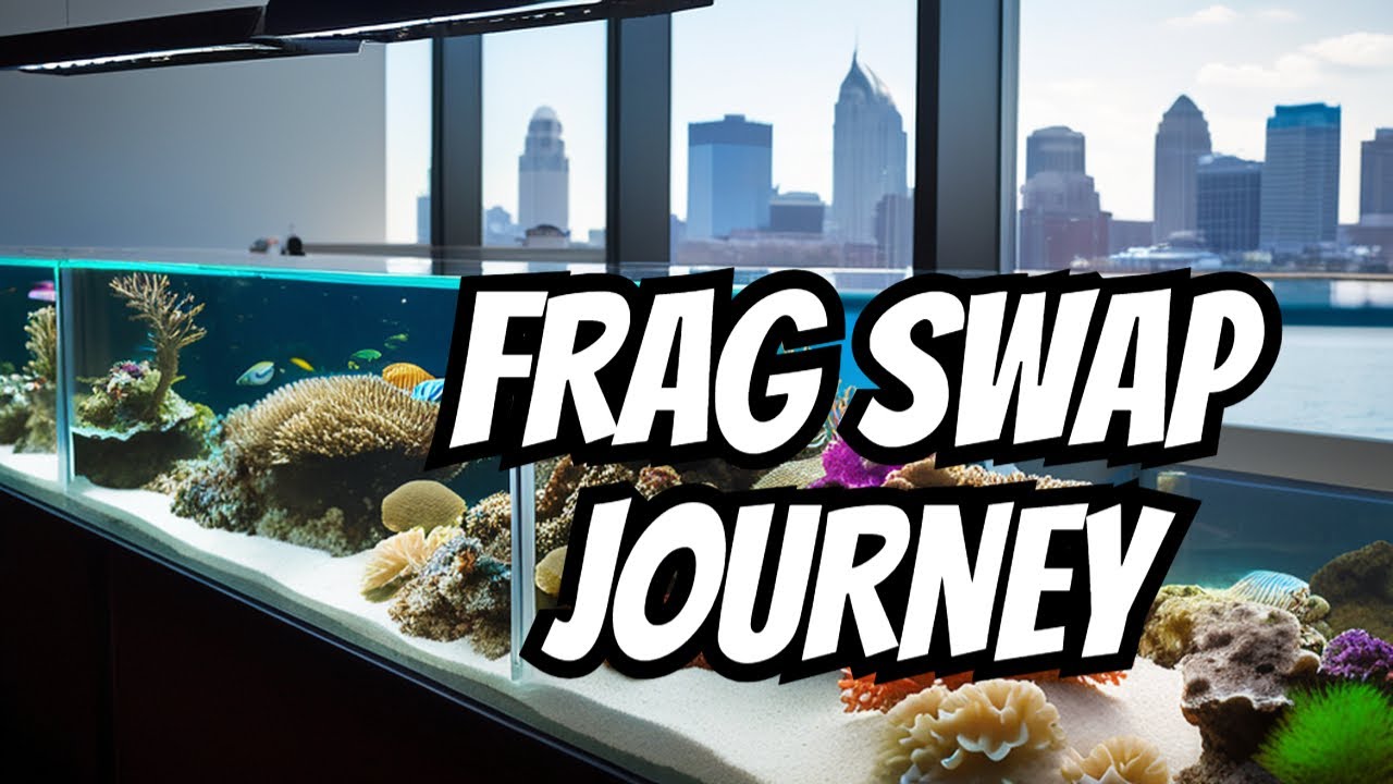 Exploring the Cincinnati Coral Frag Swap in 2024