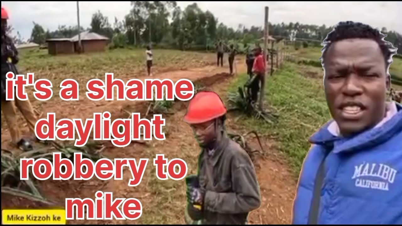 Breaking news!!! Police Case daylight Robbery  happening now in the village@iam_marwa warn.