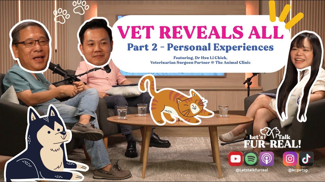 Vet Reveals All Part 2 - Personal Experiences