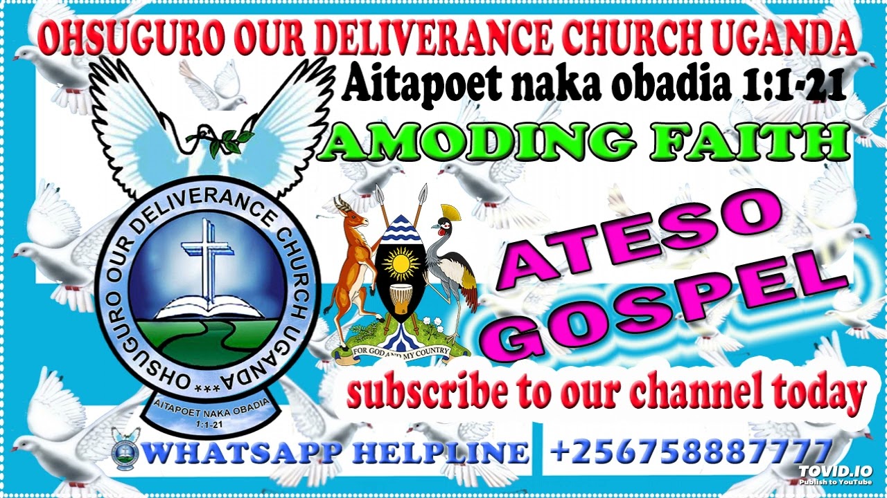 AIBUSES BY AMODING FAITH