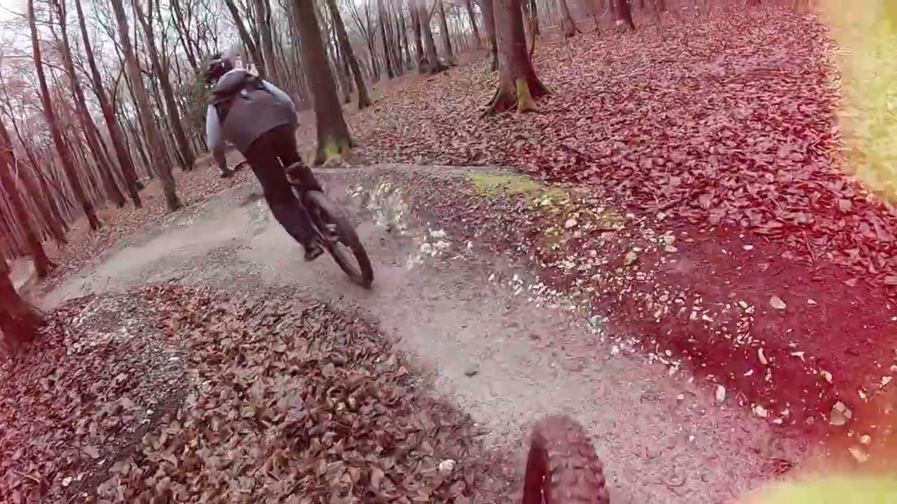Queen Elizabeth Country Park MTB Trail. Father &  son coaching session 🤙