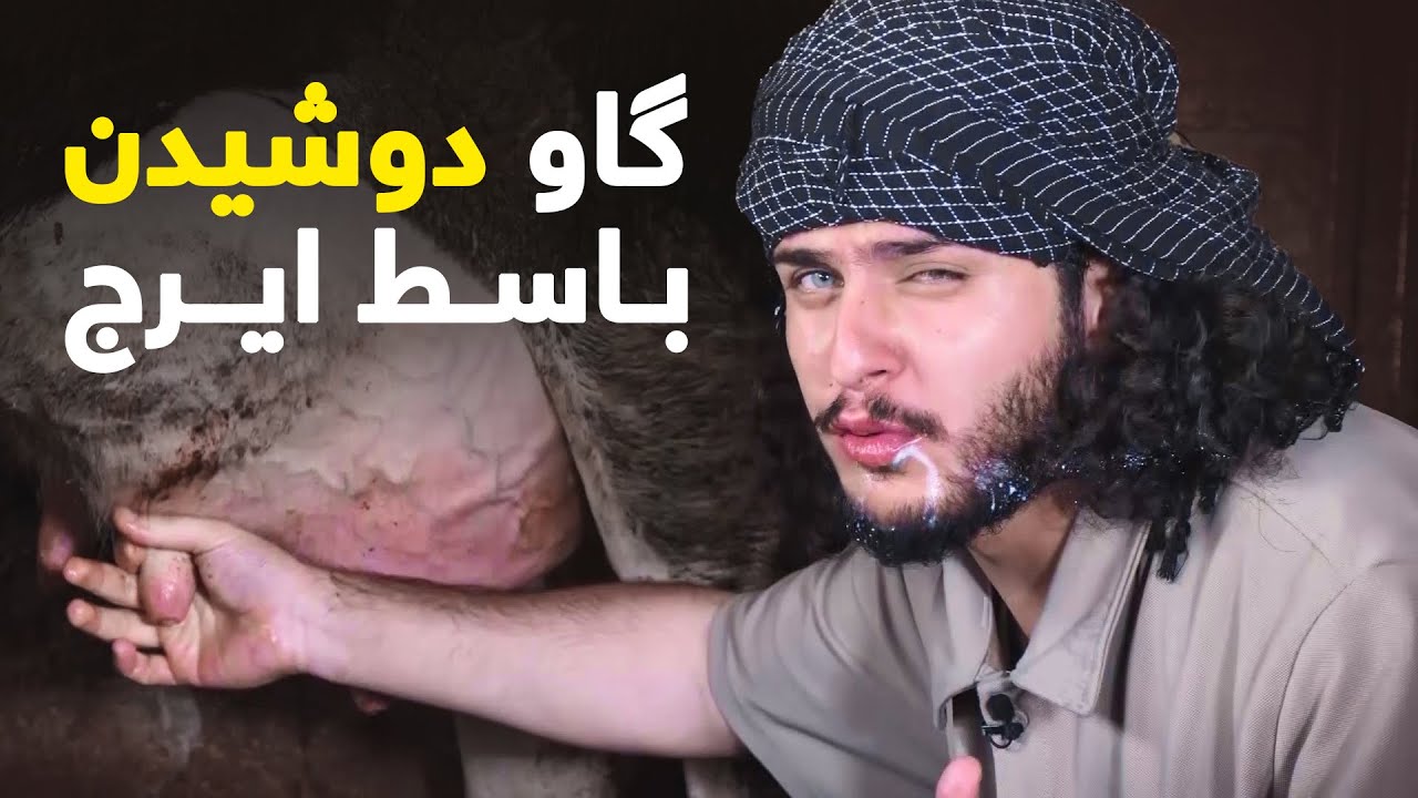 نان آور - یک روز شاگردی باسط ایرج در فارم گاو های شیری