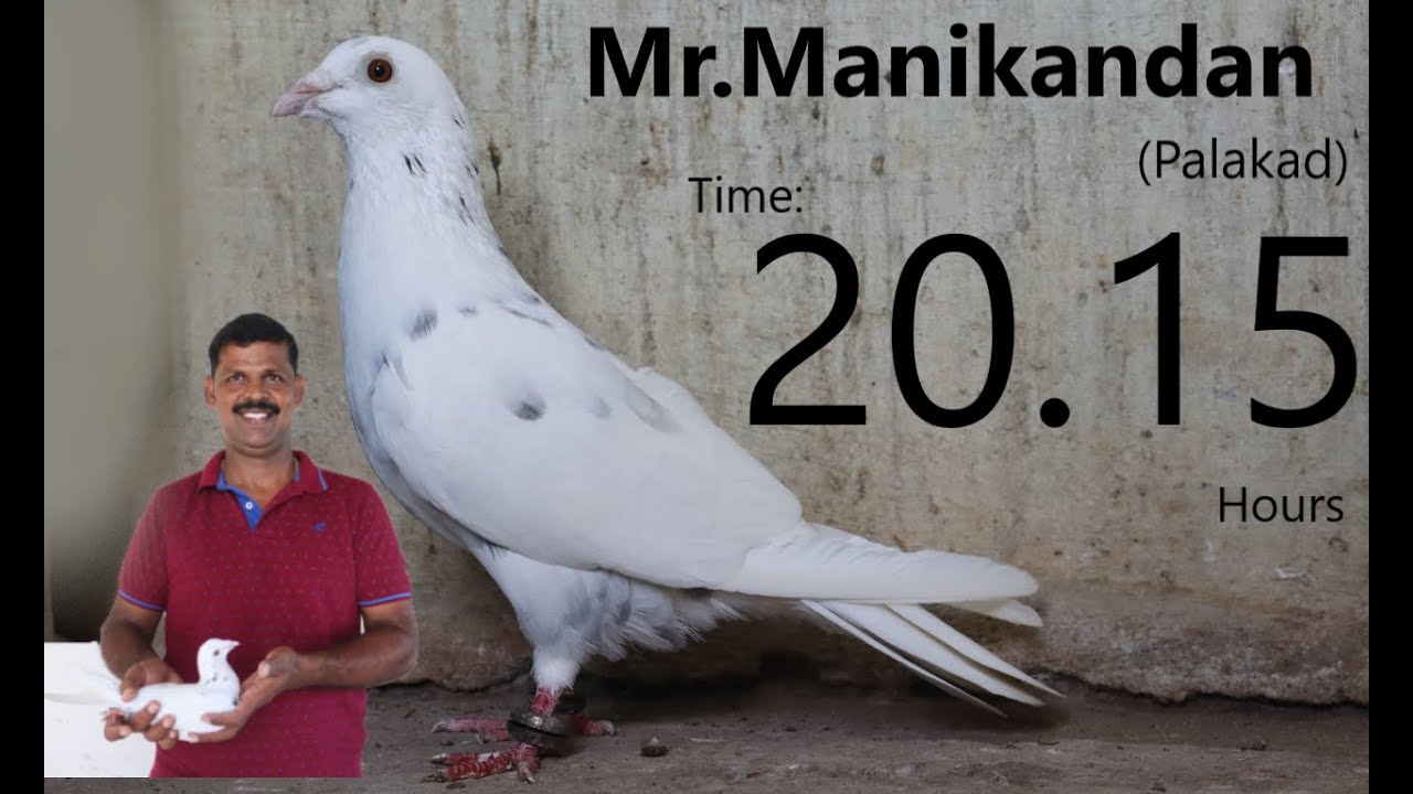 Mr.Manikandan(Palakad) time:20:15 hrs