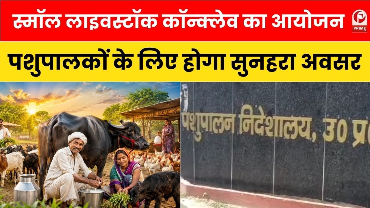 UP में पहली बार Small Livestock Conclave । पशुपालकों को मिलेगा सुनहरा मौका