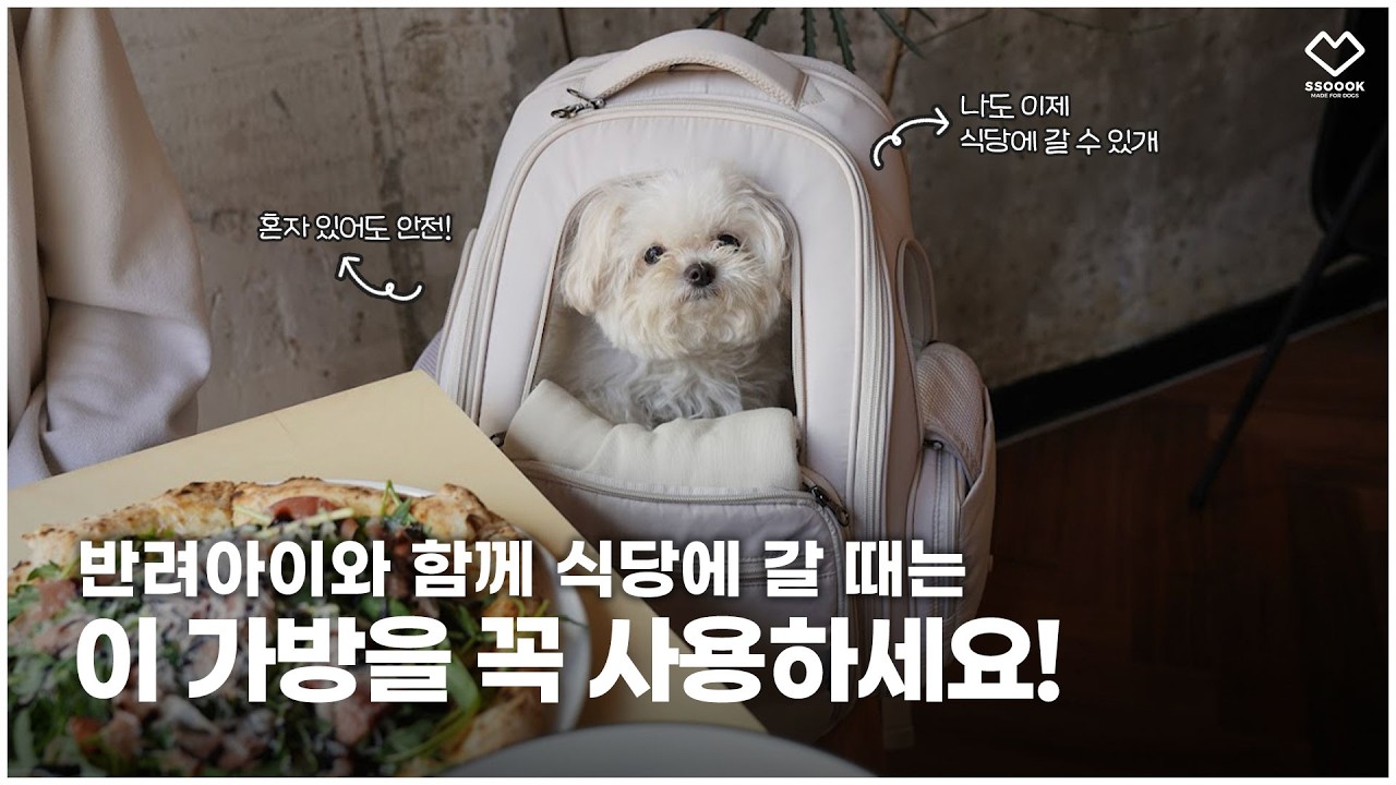애견동반 여행, 애견동반 식당 갈 때 가방 추천! 🎒✨