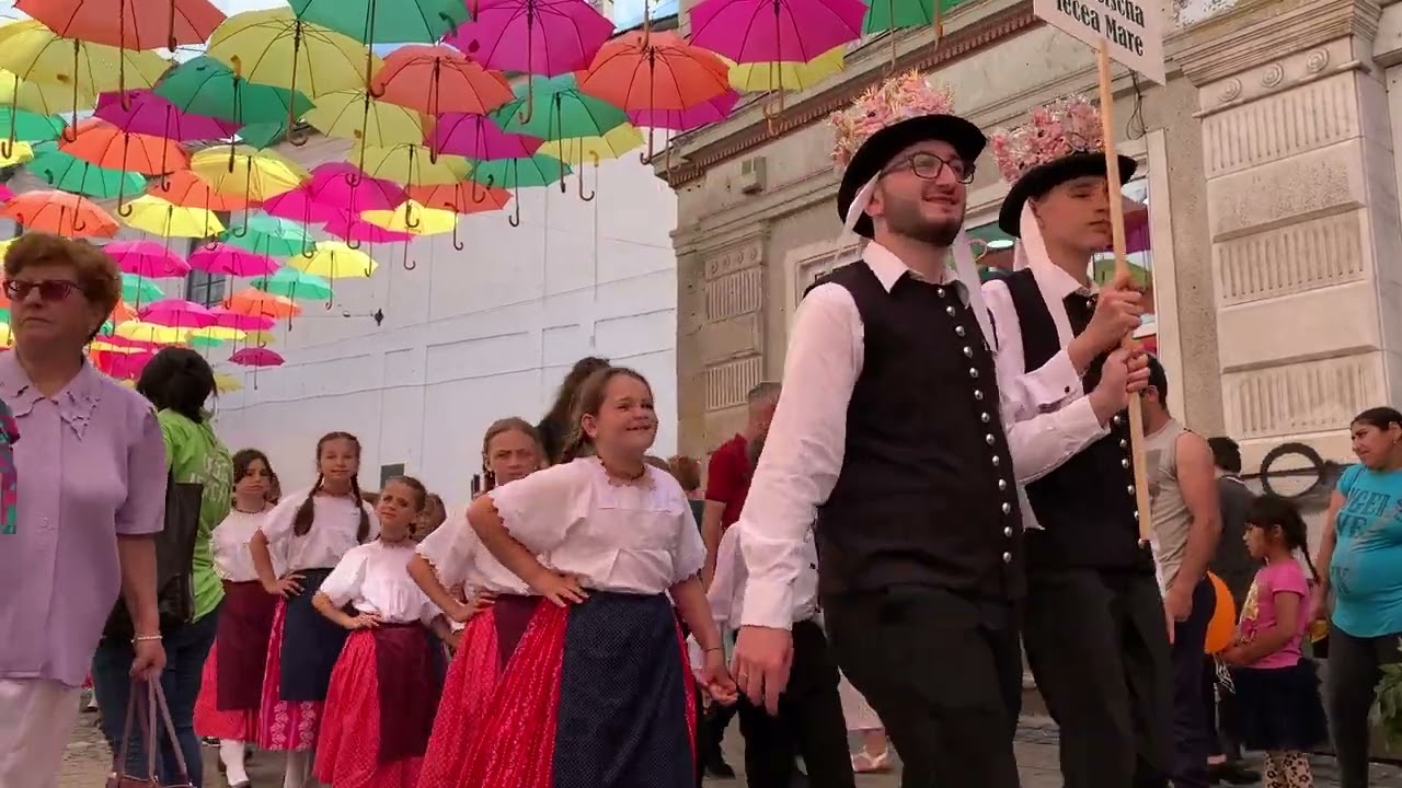 Timisoara/Temeswar/Temeschburg - Heimattage der Banater Deutschen, Festzug der Trachtenpaare