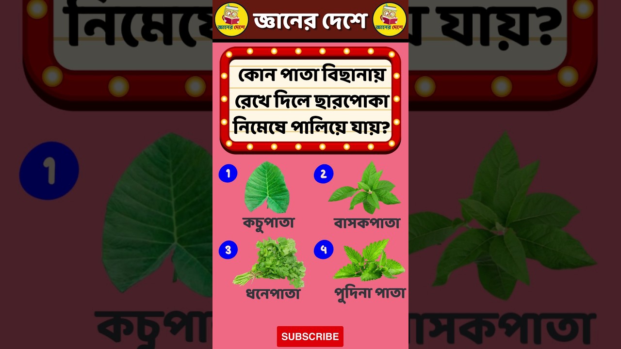 🐞🤔বিছানায় কোন পাতা রাখলে ছারপোকা পালিয়ে যায়? #shorts #amazingfacts #factsdaily #factshorts #gk