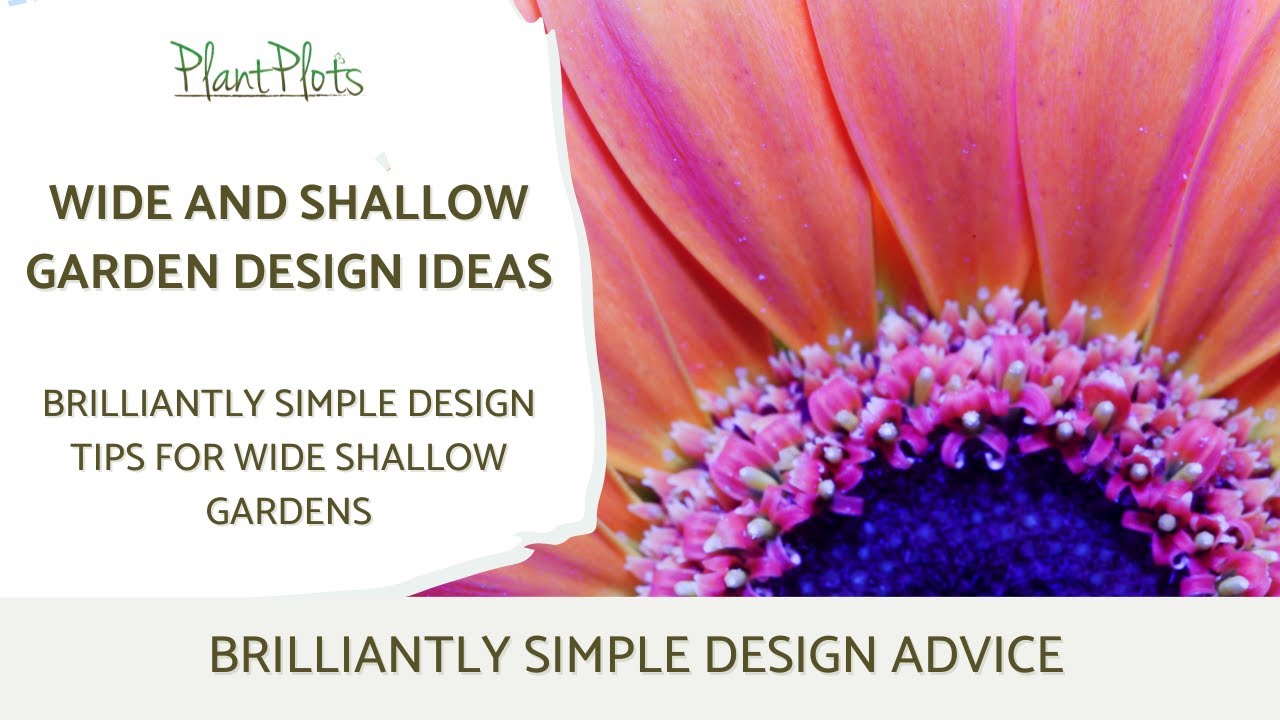 Wide and Shallow Garden Design: How to Push Back the Boundaries