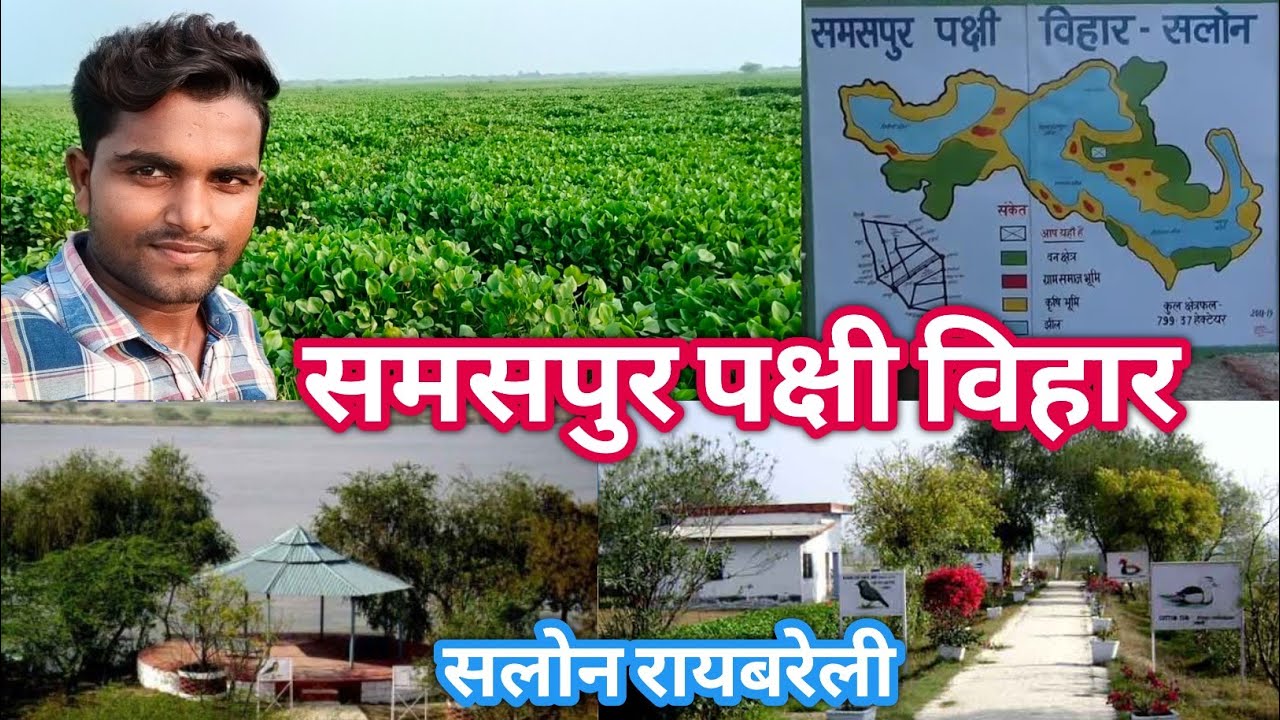समसपुर पक्षी विहार 2023 | Samaspur Pachi Vihar | Salon Raebareli | Utter Pradesh | @c2bhairbl206