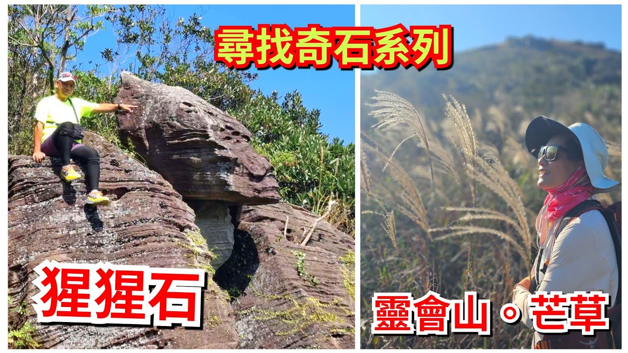 細強遊記：尋找奇石系列：靈白右澗。猩猩石