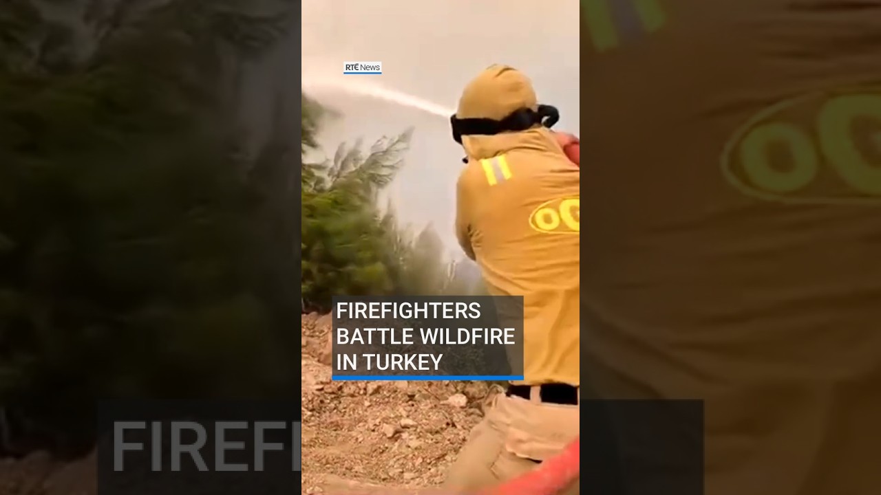 Firefighters battle wildfire in southwest Turkey | #RTENews