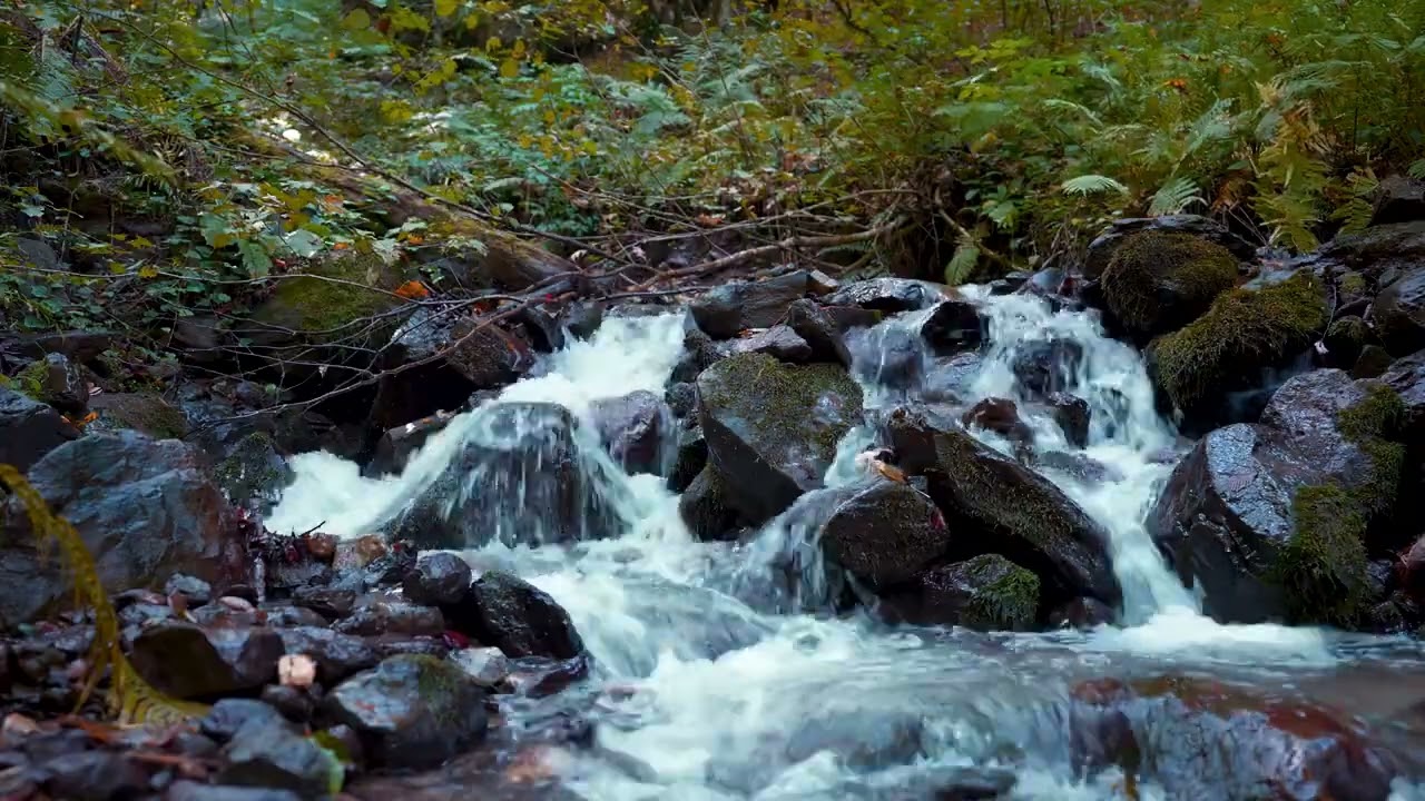 3 Saatlik Sonbahar Ormanlarından Irmak Sesi | 4K Mountain River in the Autumn Forest Natural Sound