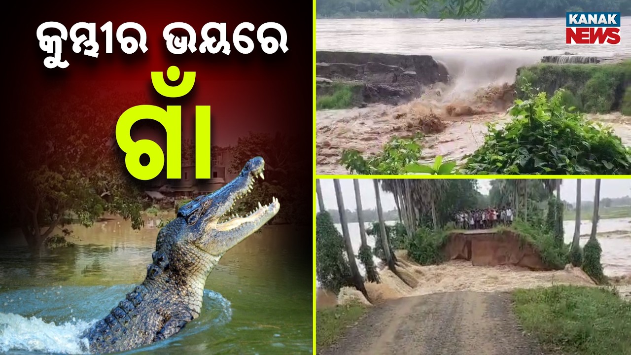 60-Foot Breach in Brahmani River Worsens Flood Situation in Jajpur | Odisha Flood