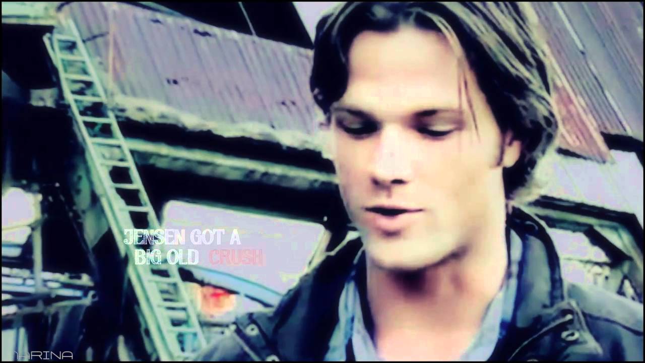 J2 || Animal ★