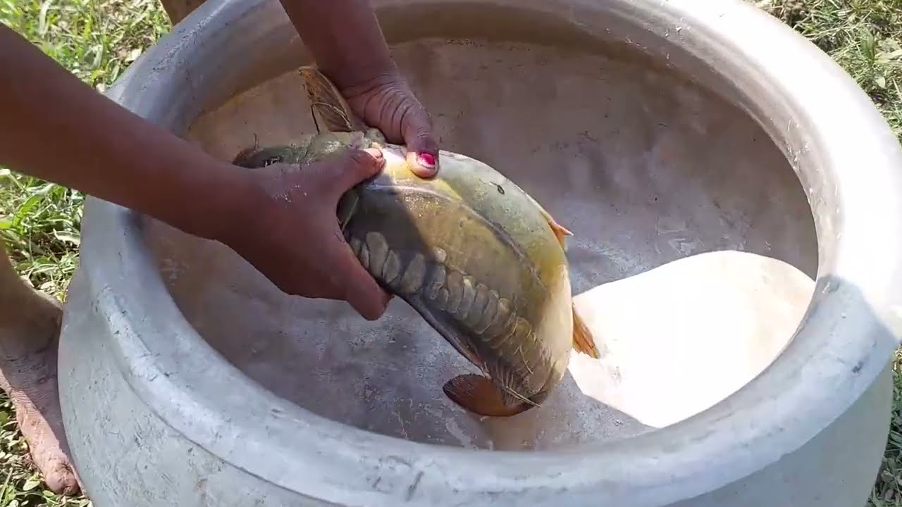 New Best Hook Fishing Video 2022 | Little Boy Hunting Big Fish With Hook Beautiful Nature #fishing