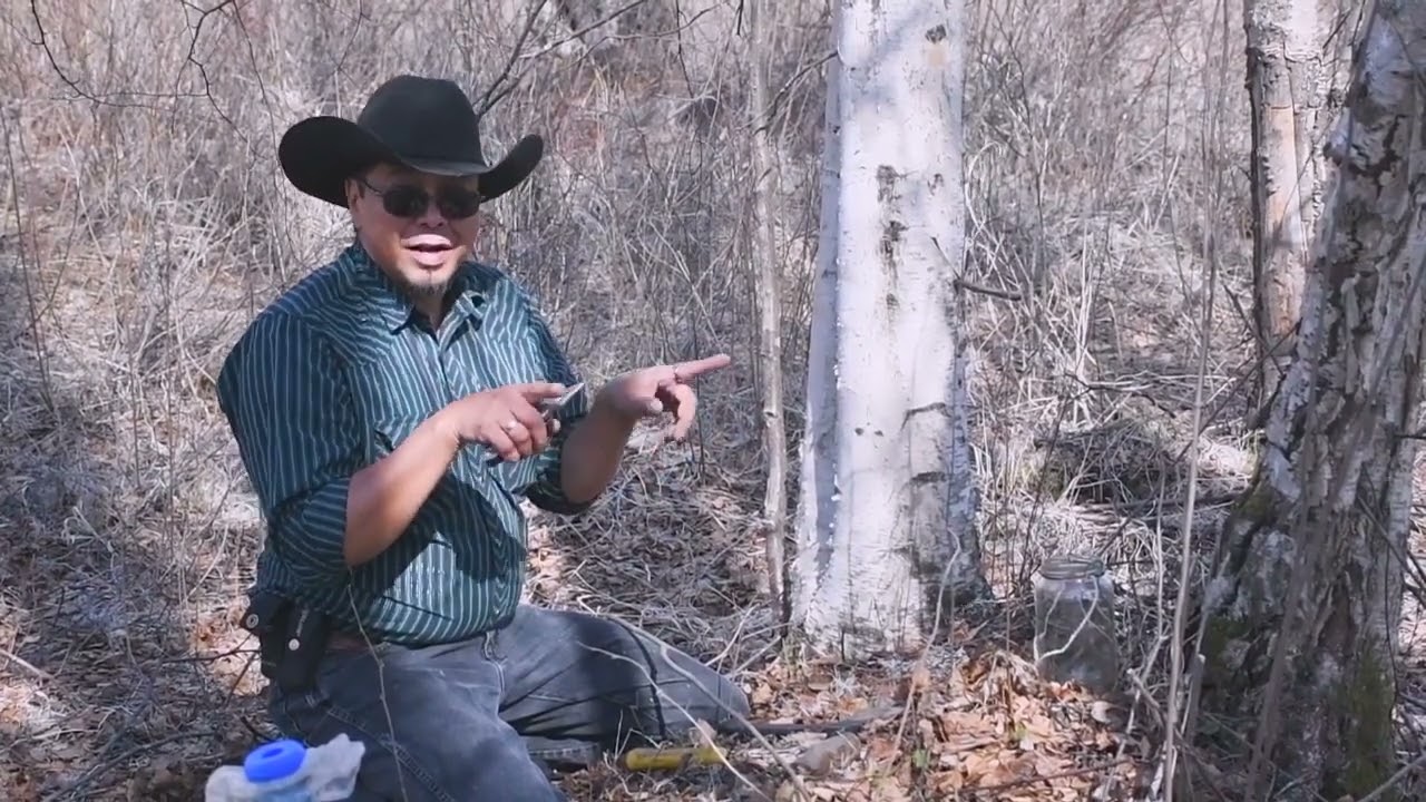 Tapping Birch Trees