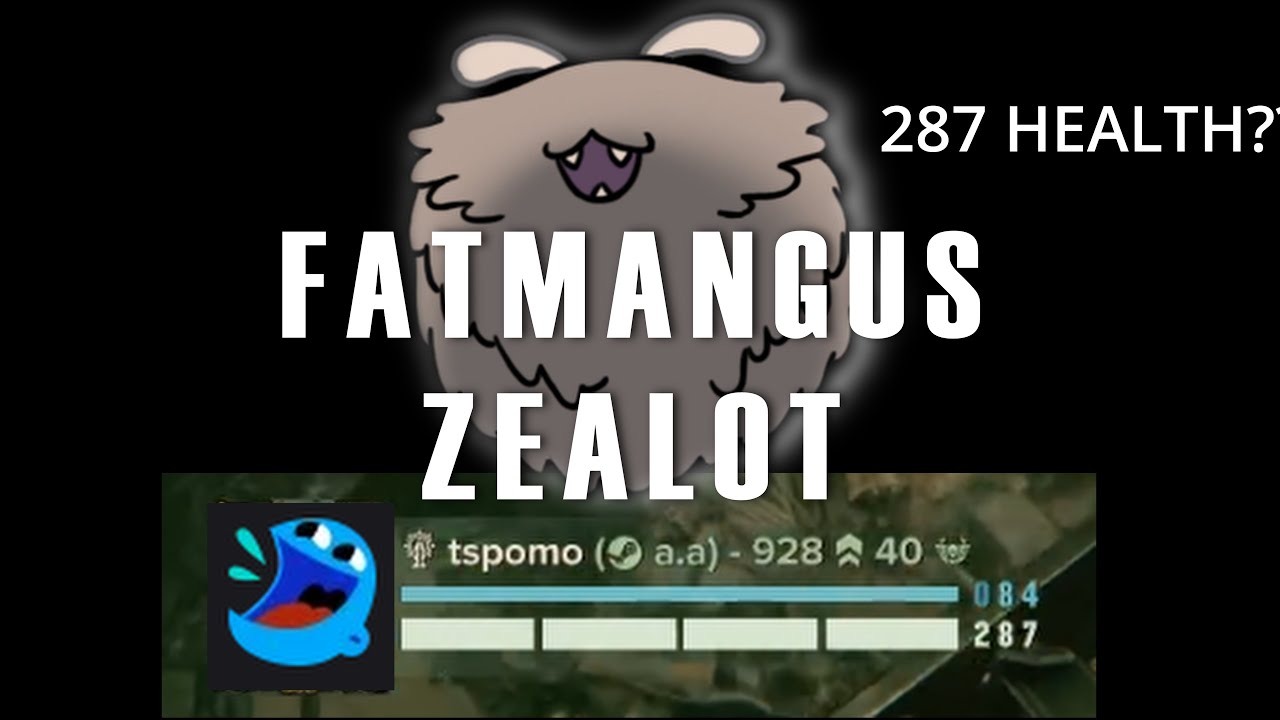 The Most WHOLESOME Zealot Build That You Aren't Playing | Fatmangus Zealot | Havoc 40