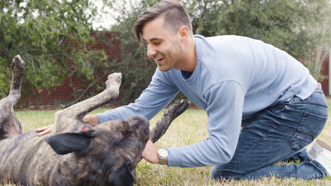 Pet Paradise “Always There”