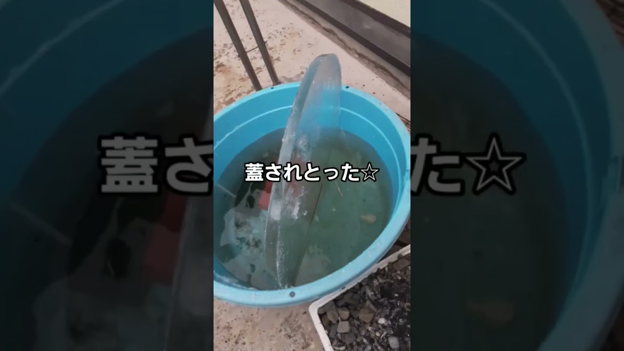 冬の氷と戦う男 