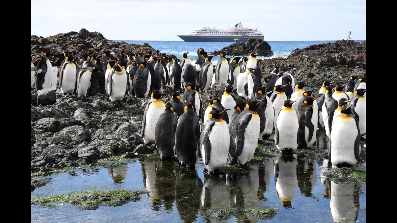 Heritage Expeditions Birding Down Under Voyage 2025