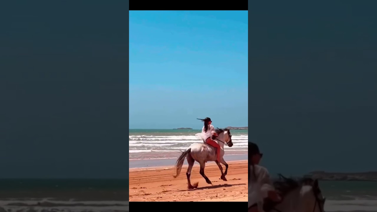 bareback horse riding at sea beach by beautiful lady #viralvideo #horse #horseriding #equestrian