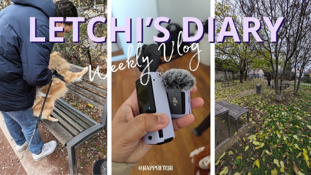 💠 WEEKLY VLOG #1 : On termine l'année malade, et slow life d'une meuf à la vie banale! 🦢