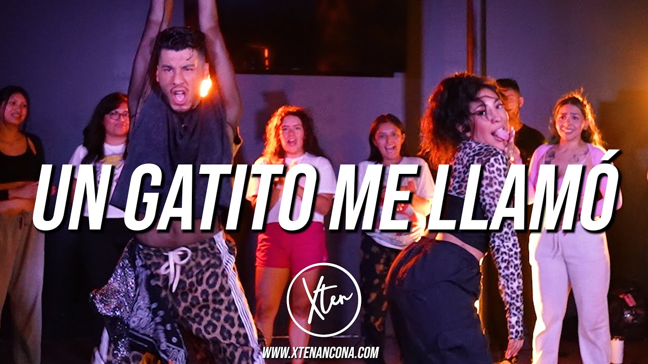UN GATITO ME LLAMO - Karol G | Coreografía