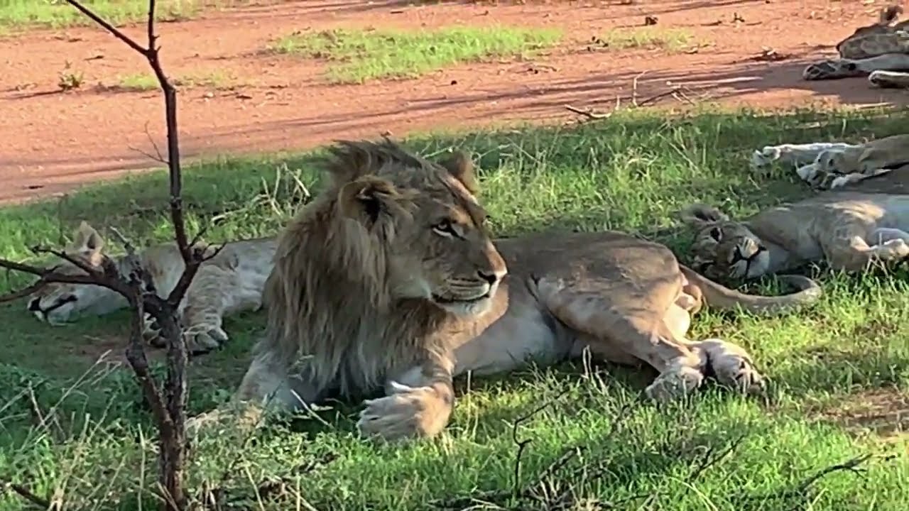 Namibia, Day 2 - Mount Etjo