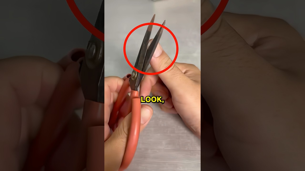 Best Tool to Cut Nails 😮
