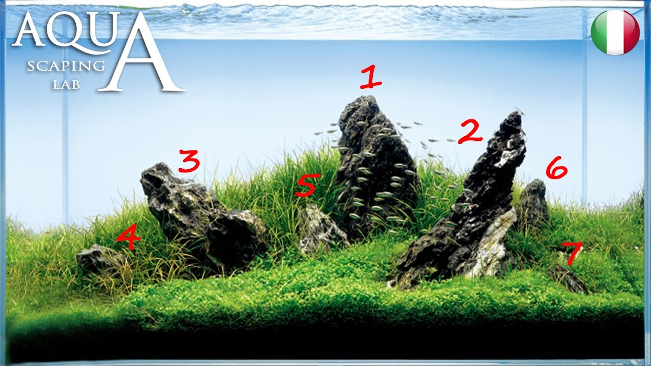 Tecniche di Aquascaping - Lezione tutorial su allestimenti acquari Iwagumi e Ryoboku Aquascaping Lab