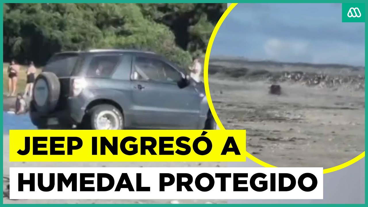 Jeep ingresó a humedal protegido y manejó contra unas aves