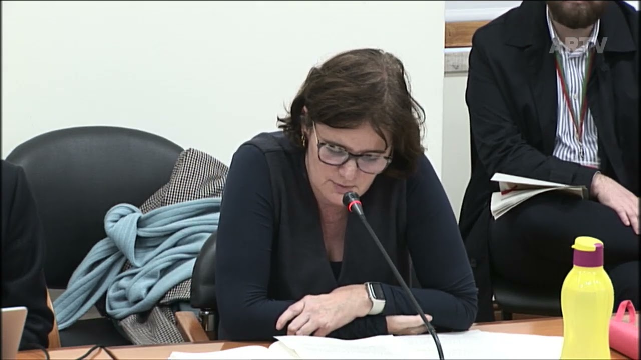 Audiência órgãos representativos dos trabalhadores da Arsenal do Alfeite | Mariana Vieira da Silva