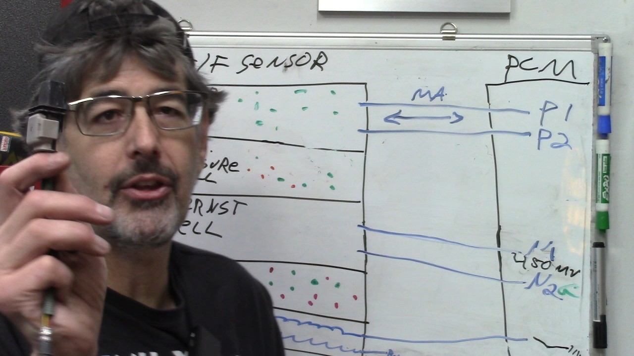 Understanding 6-wire (Dual Cell) AF sensors- Pay Channel Free Video!!