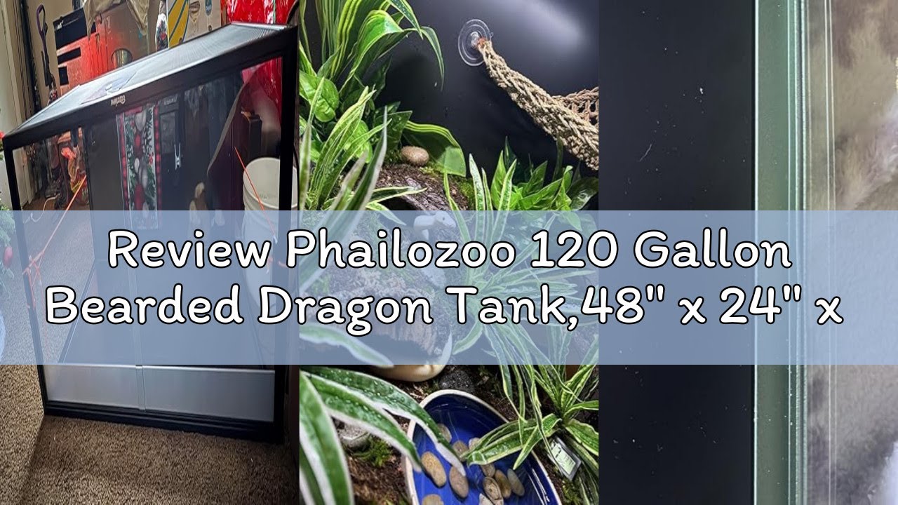 Review Phailozoo 120 Gallon Bearded Dragon Tank,48