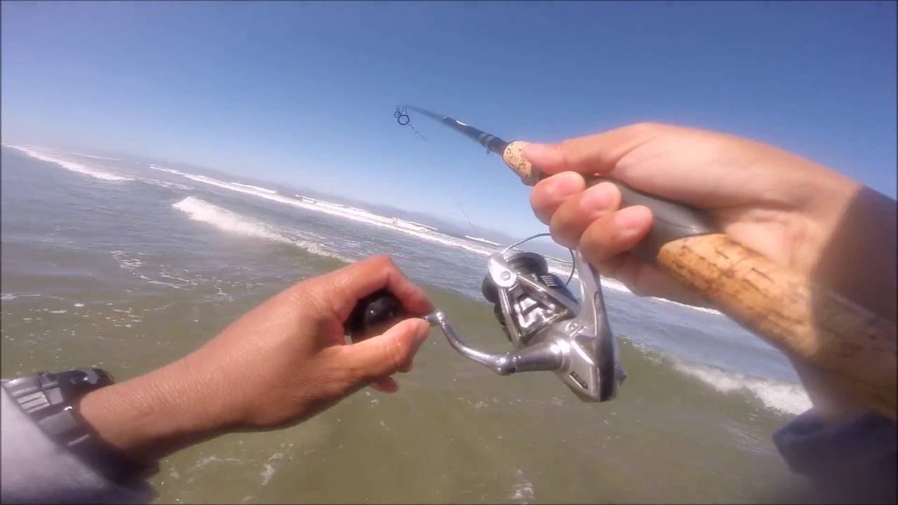 surf fishing tips to catch more fish - fishing close to shore