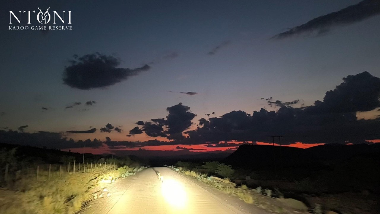Driving Elandsdrift #relaxing #driving #karoo #southafrica