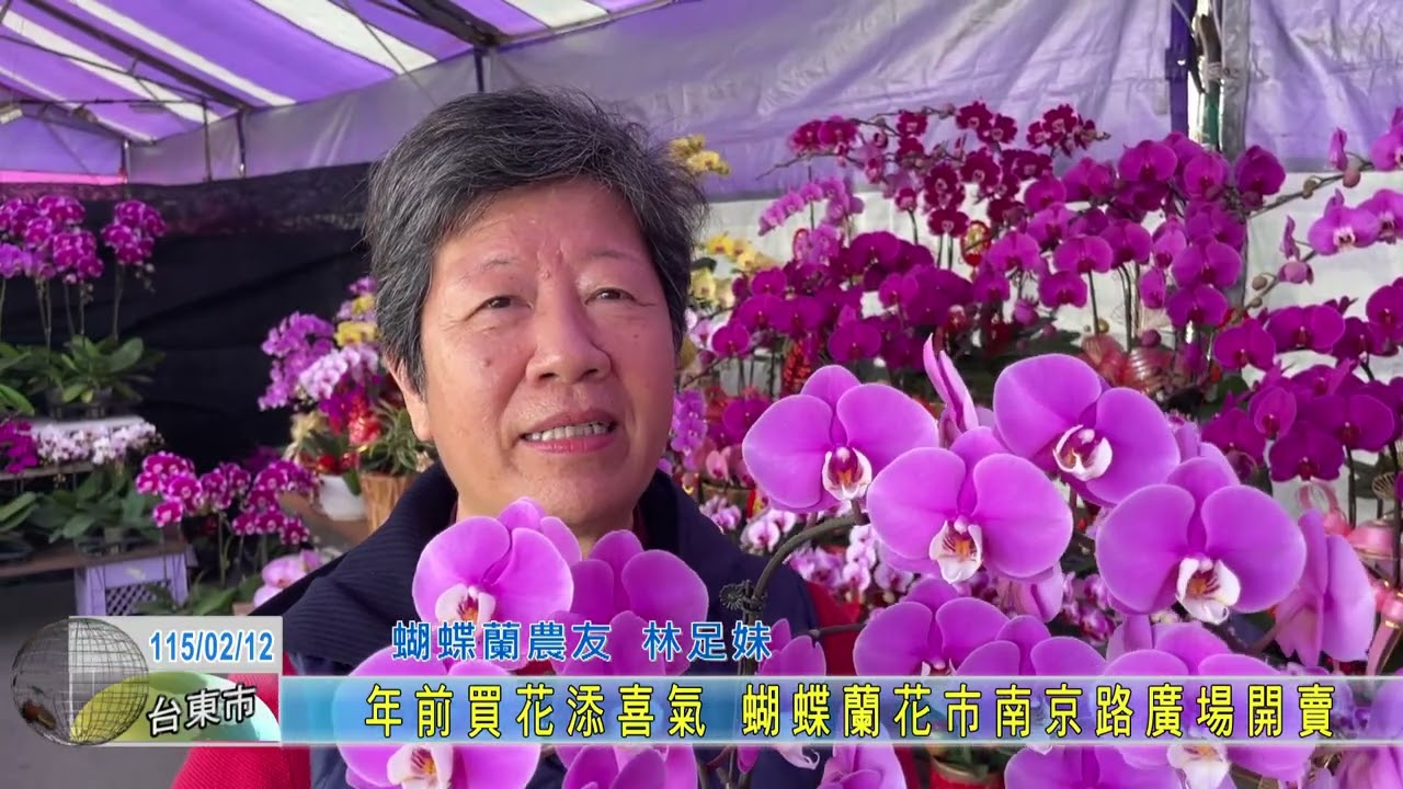 20260212 年前買花添喜氣 蝴蝶蘭花市南京路廣場開賣