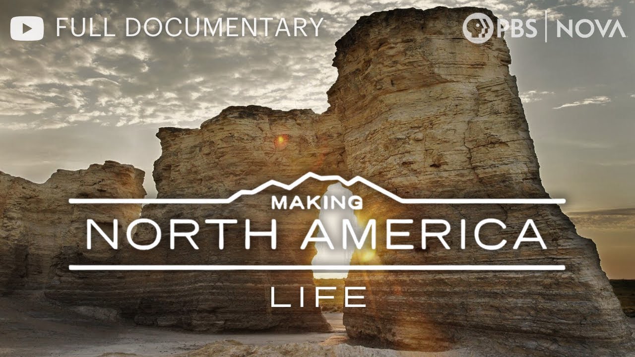 Making North America: When Dinosaurs Roamed | Full Documentary | NOVA | PBS