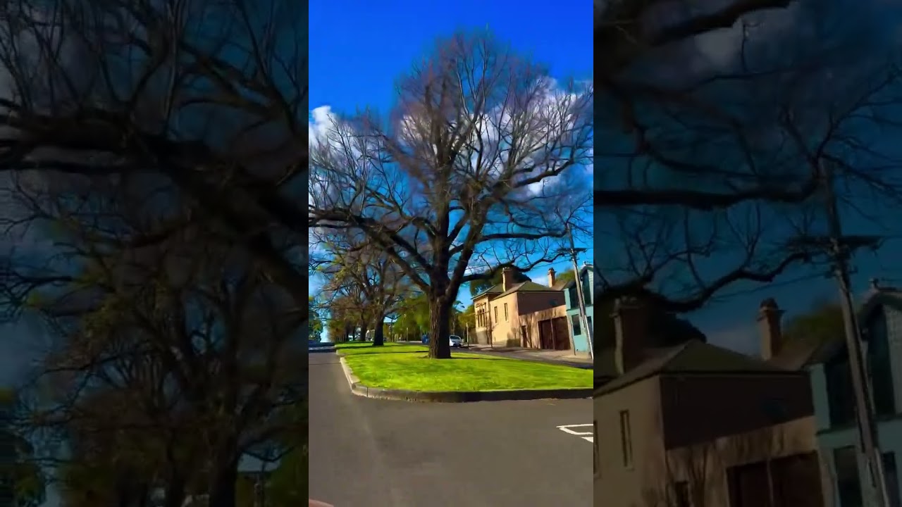 Driving around Melbourne 