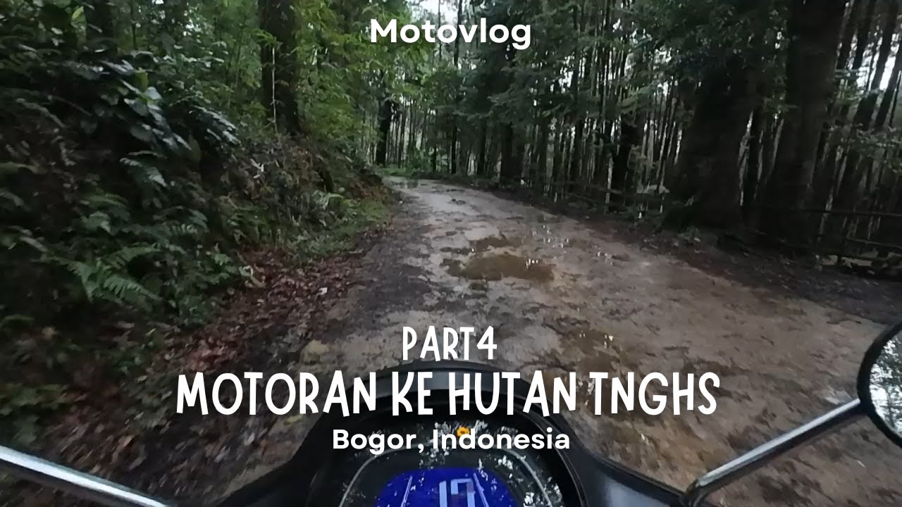 Поездка на велосипеде в национальный парк Халимун-Салак, часть 4 | Богор, Индонезия